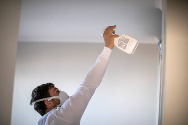 Best Local Mold Removal Service  in Masonville, KY