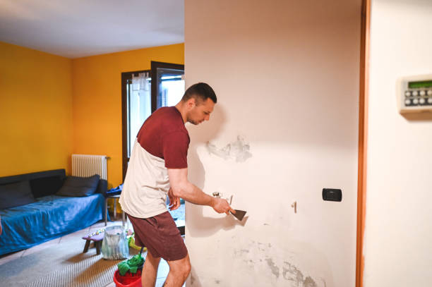Best Water Damage Restoration  in Masonville, KY